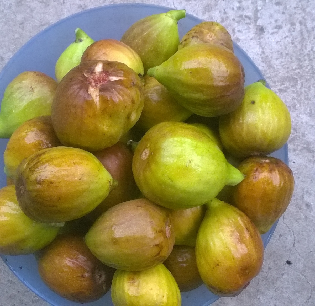 Малая часть урожая