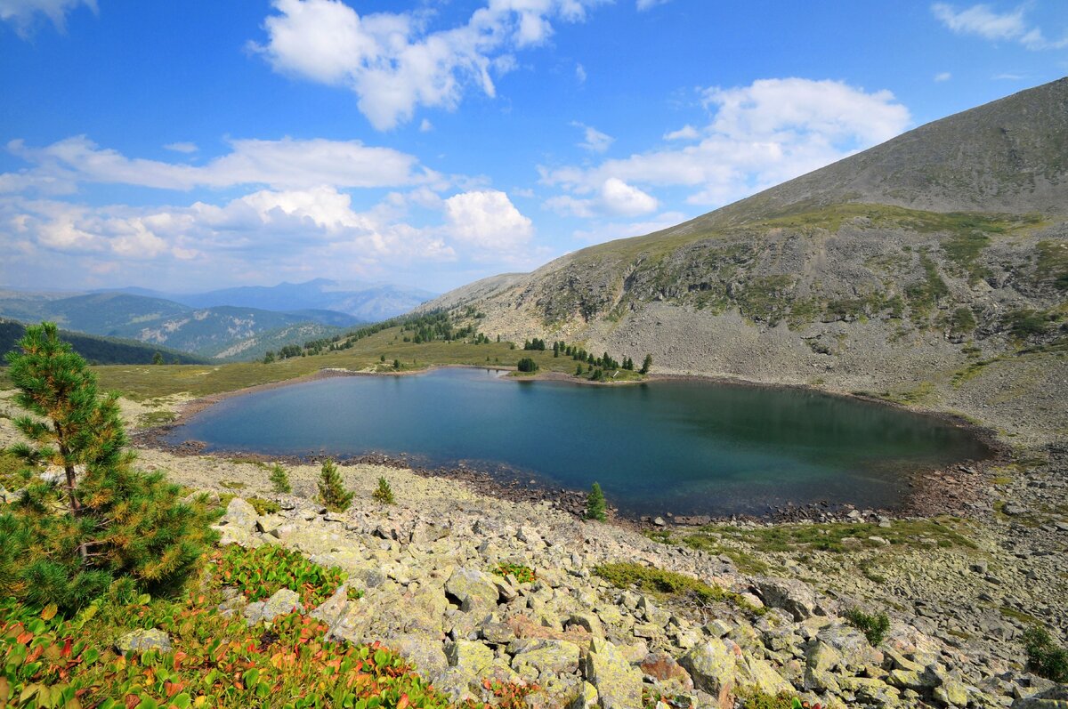 Озеро манас горный алтай фото