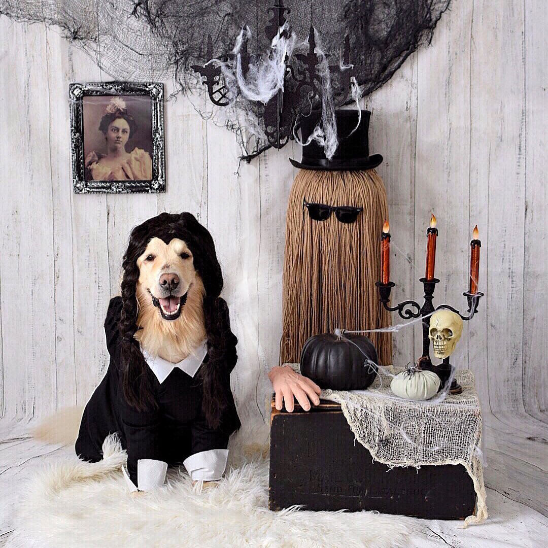 Instagram @thegoldensrule 