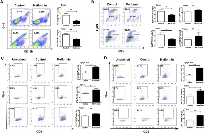 https://www.sciencedirect.com/science/article/pii/S0753332219336157