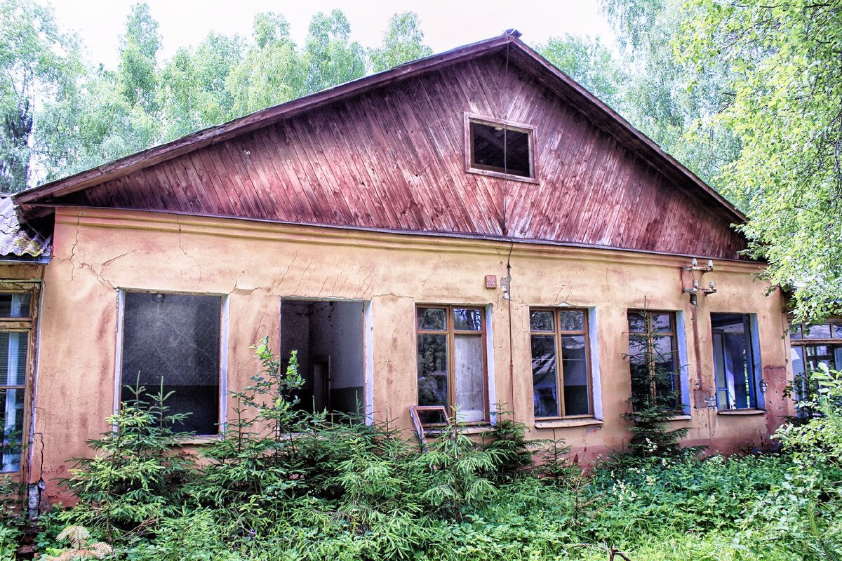 Ласточка балаково лагерь фото