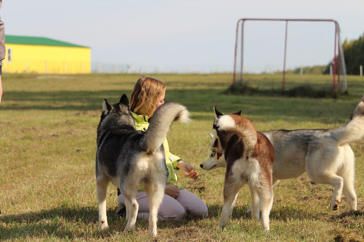 Я, Шаман, Фанта и Скай