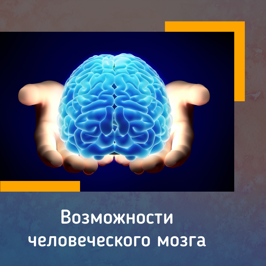 На что способен человеческий мозг? | PRO100деньги /Заработок в сети | Дзен
