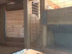 Как часто чистить клетки кроликов – чем мыть и дезинфицировать?