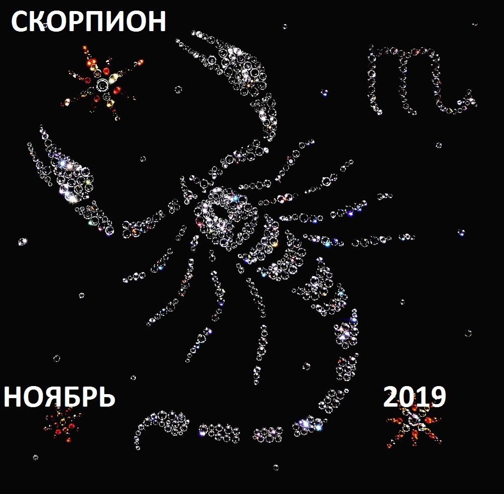 Скорпион на завтра. Гороскоп. Гороскоп 