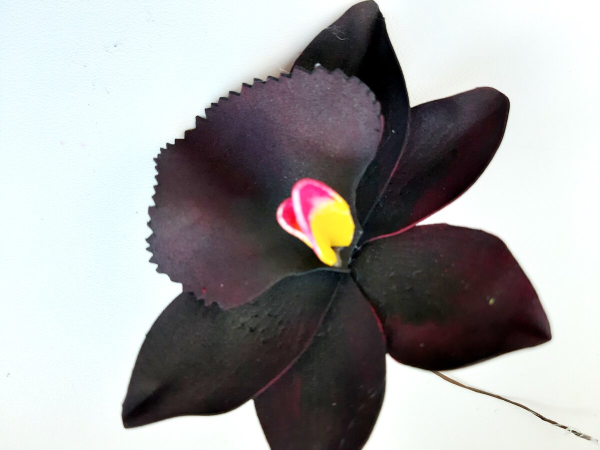 Орхидеи из фоамирана темные
