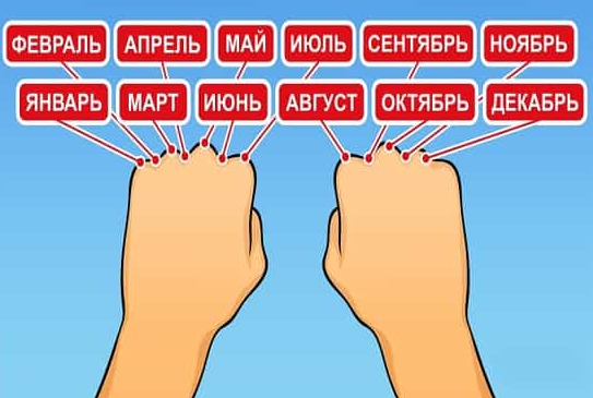 Иллюстрация №1