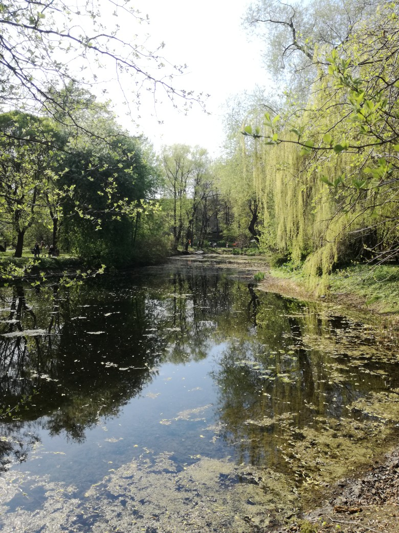 Садовый пруд