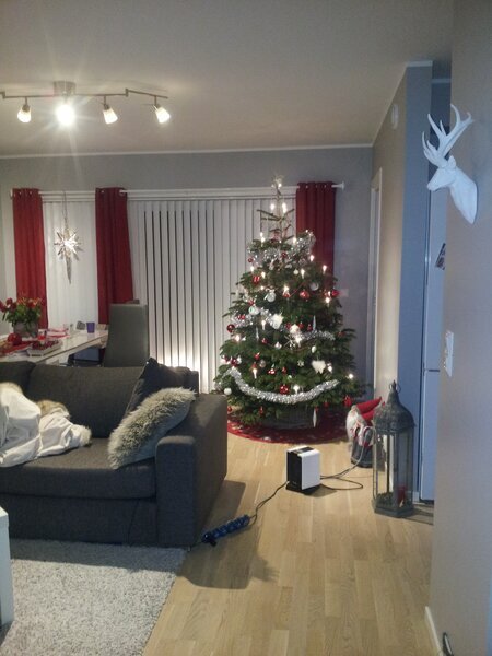 Фото автора.