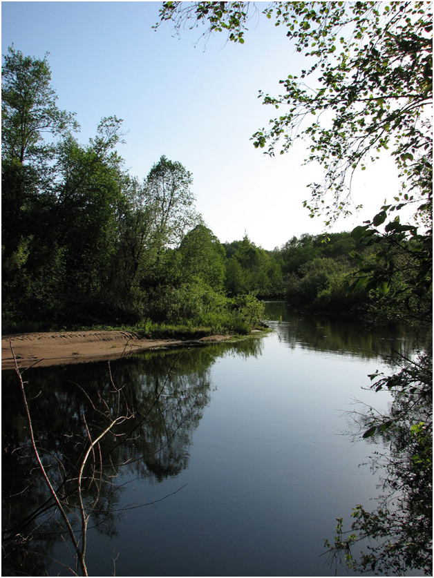 Река Руна (Новгородская область)