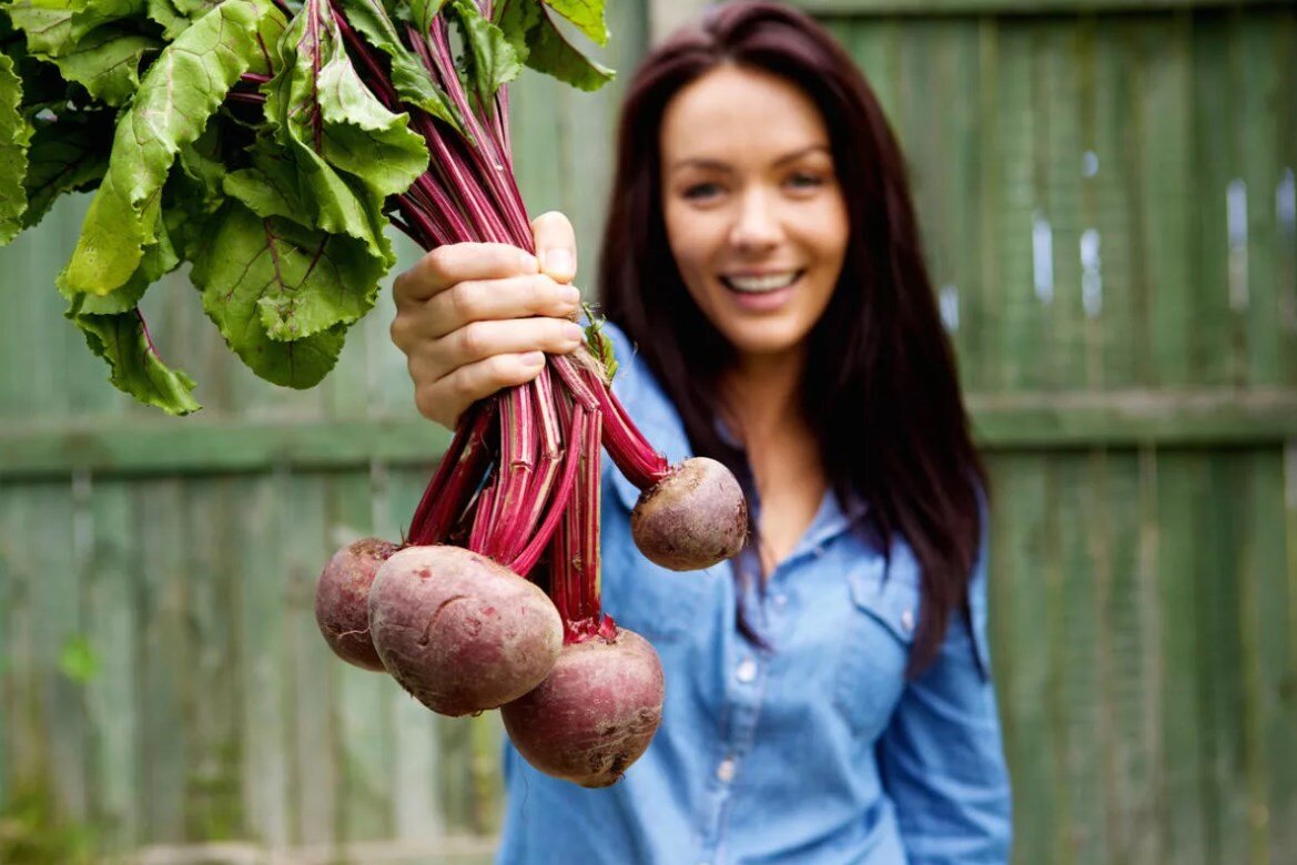 Источник: яндекс картинки