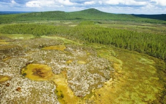 Дело в том, что в этой местности за последние тридцать лет пропало около 75 человек – причем некоторые из них были найдены мертвыми. 

