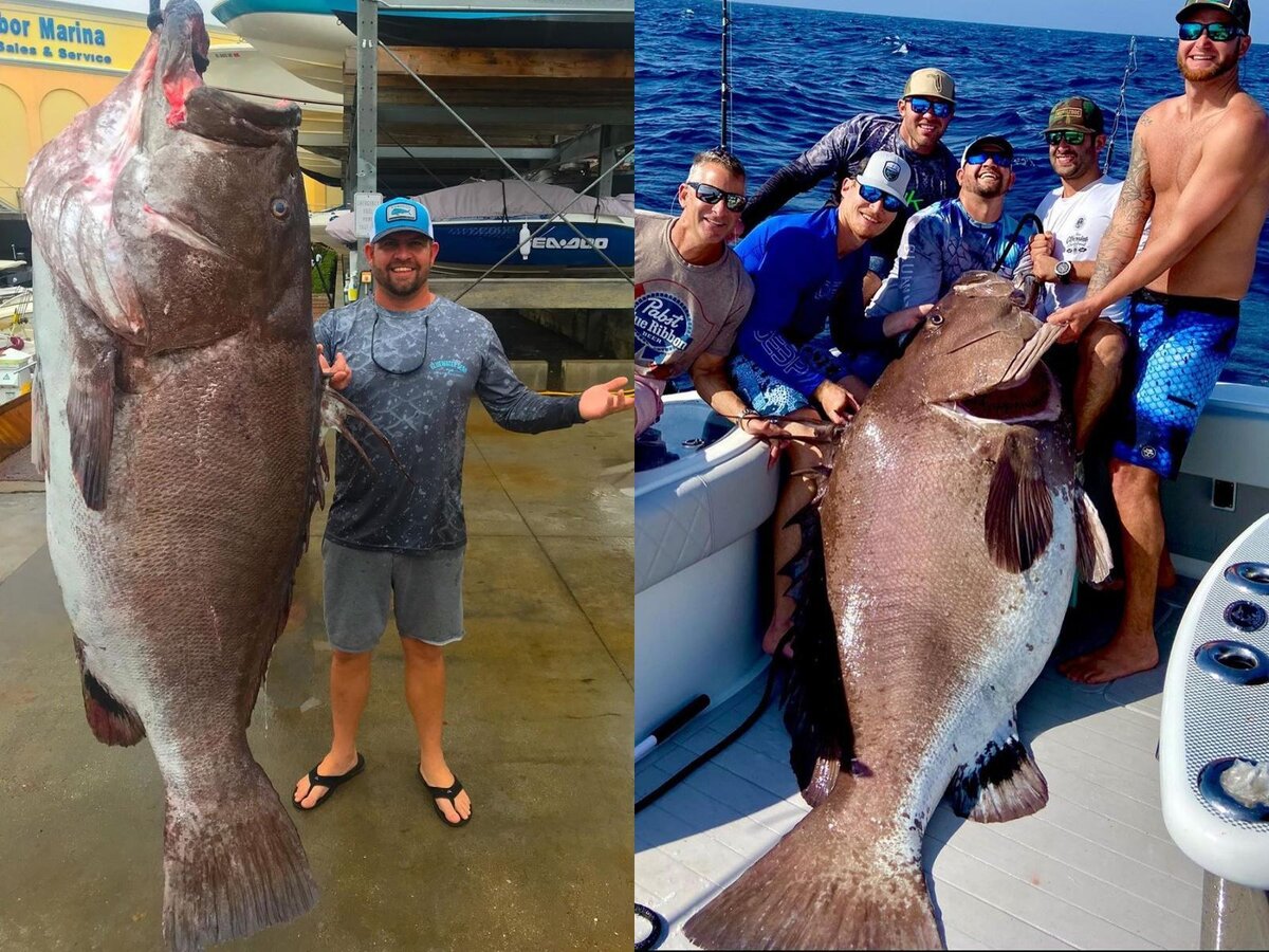 Взято из открытого доступа