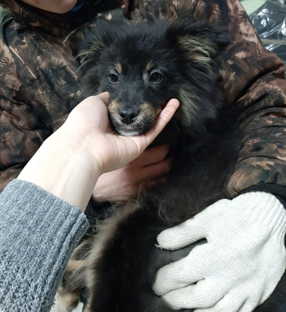 Тимочка