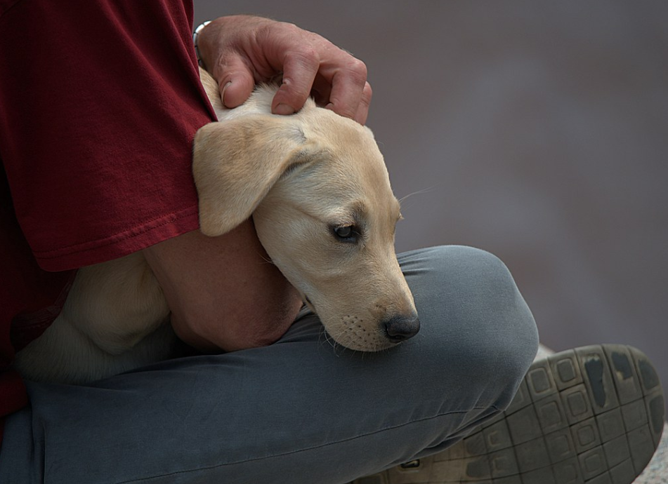 Увы, с пауком так нельзя