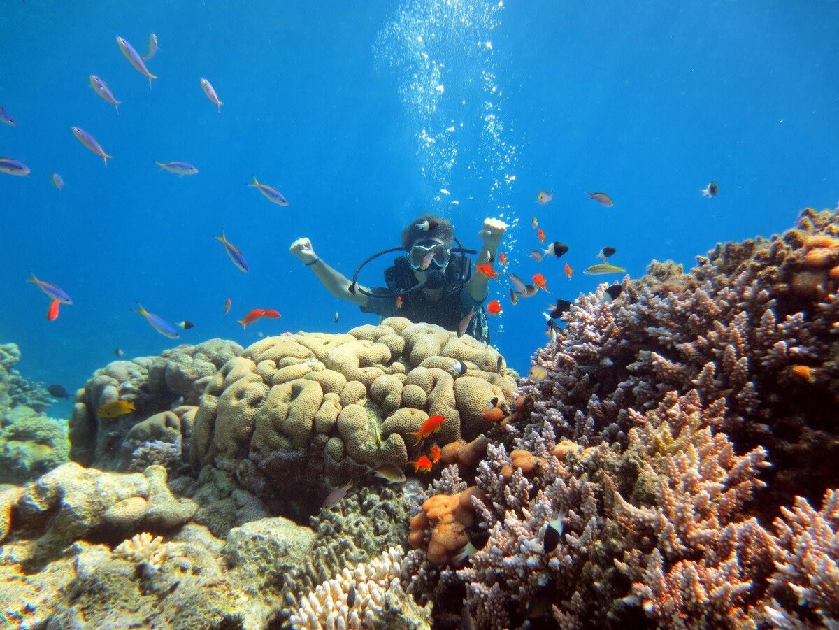 Красное море хургада отзывы