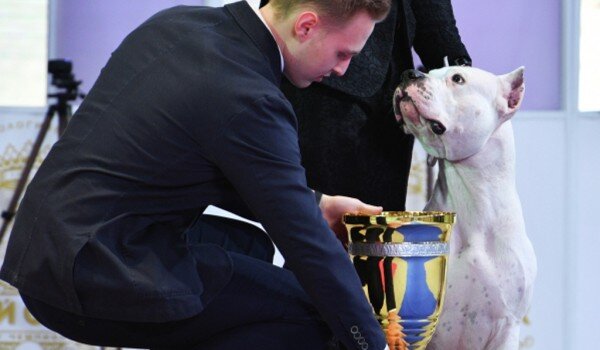 фото: РИА Новости\Наталья Селиверстова