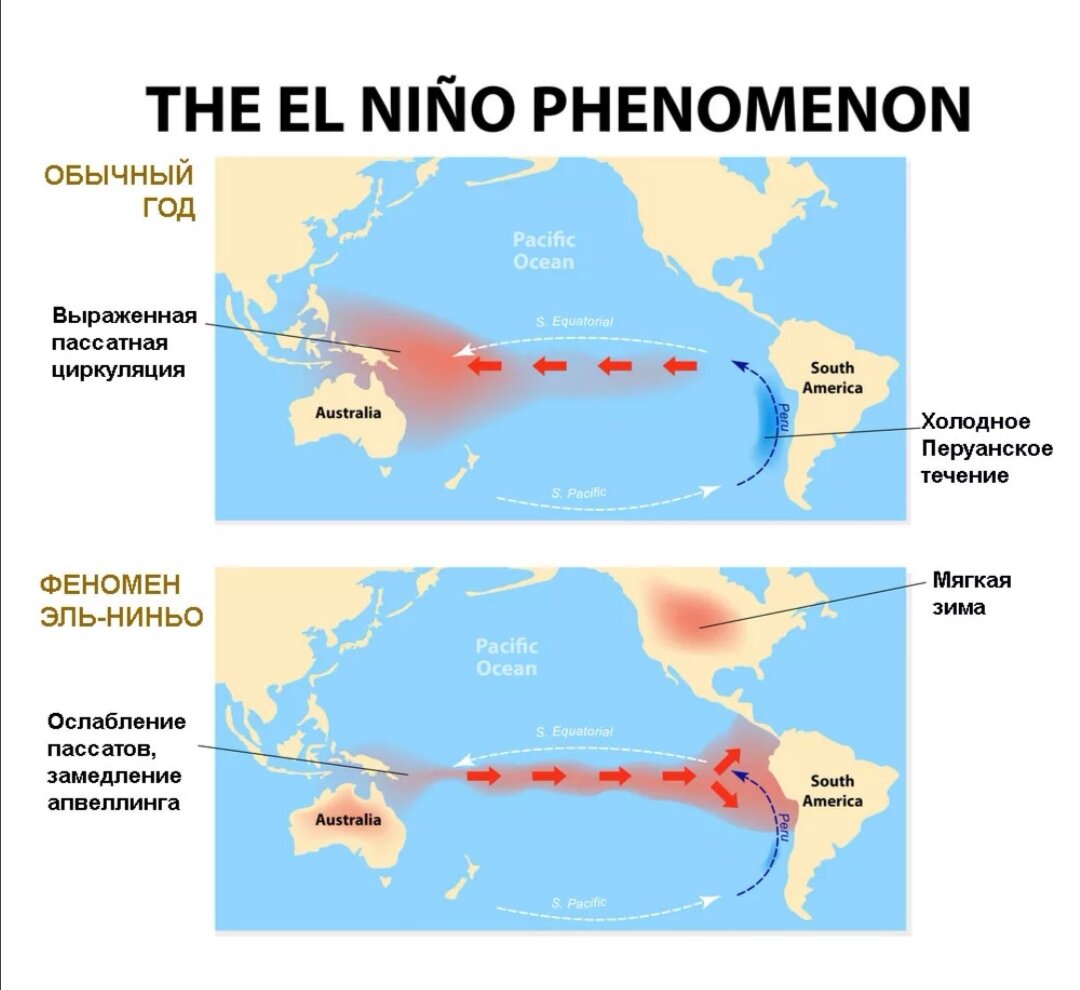 яндекс.картинки
