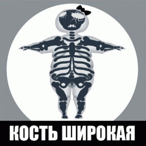 Взято из открытого источника Яндекс.картинки 