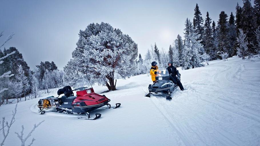 Поездка на снегоходе - незабываемые эмоции!
