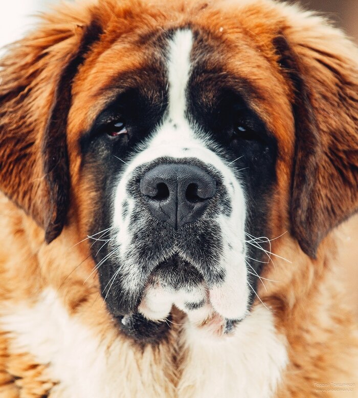 Фото из свободных источников