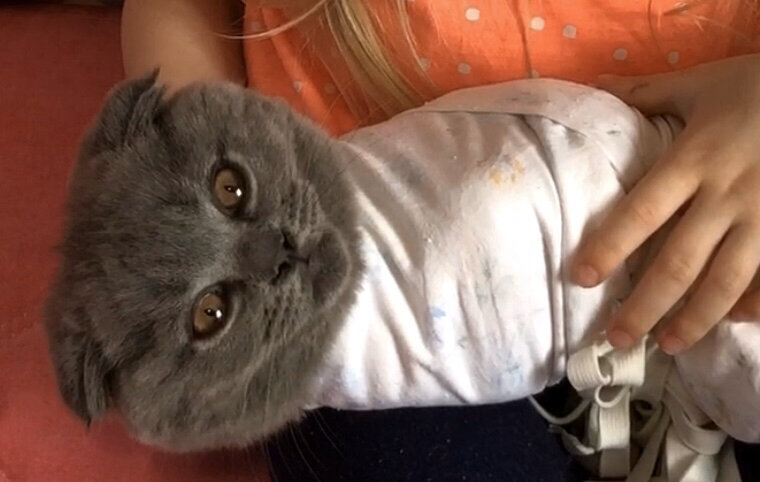 Играли с Миланой в доктора, я был пациентом.. страшновато - кот Космос  