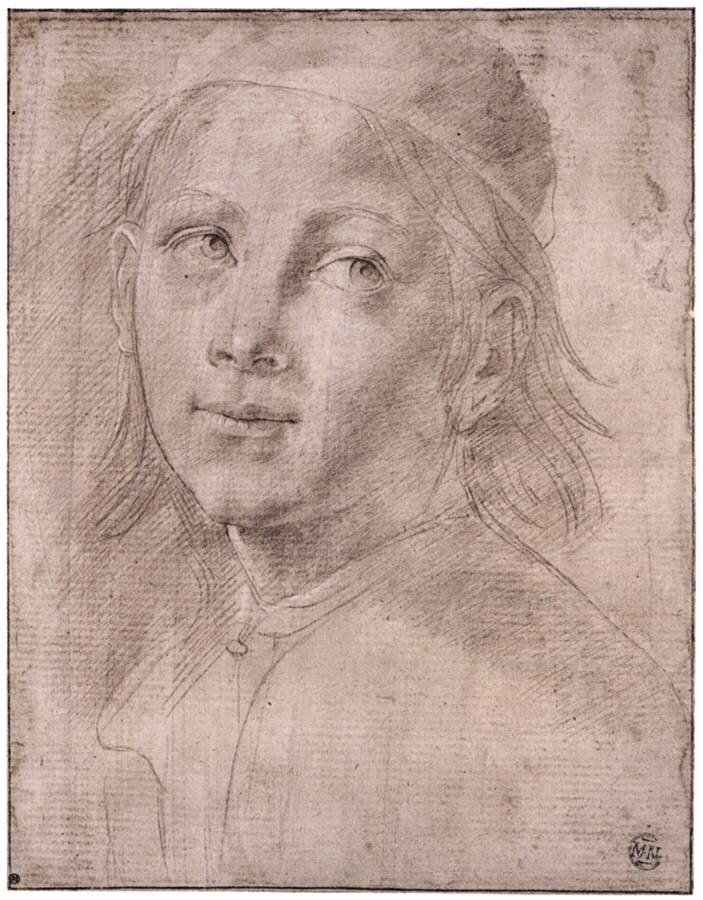Bust of a Boy Wearing a Cap c. 1480 Metalpoint with white highlights on pale brownish pink prepared paper, 245 x 188 mm Musée du Louvre, Paris