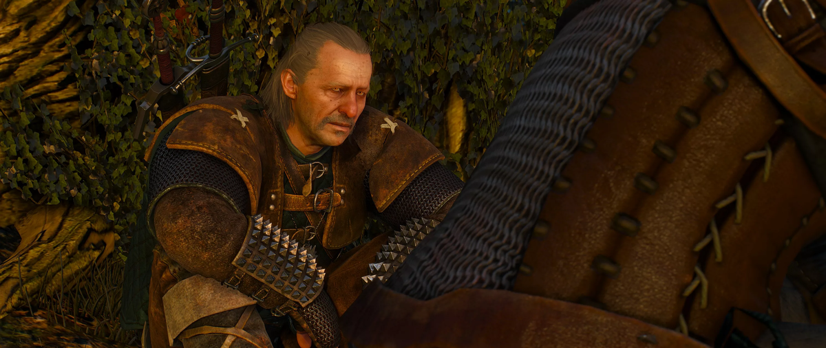 The Witcher 3 - Весемир