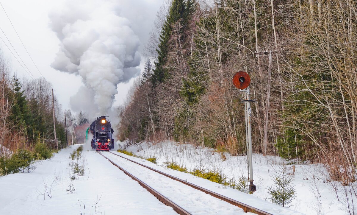 "В глуши перегона". Из архива более ранних паровозных обкаток. Недействующий чётный предупредительный светофор перед бывшей станцией Горовастица. Фото: Алексей Алексеев