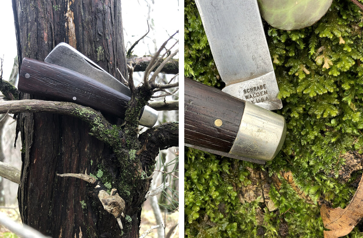 Американский дедушка. Фото: wandering