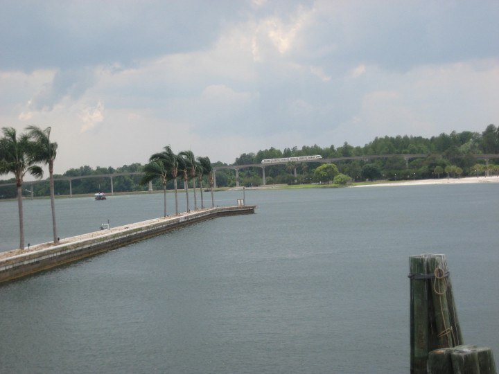 Фото Соцсети 