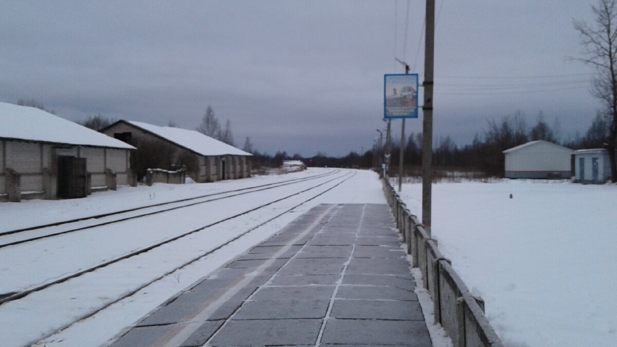 Погода в пестово одинцовского. Станция Пестово. ЖД вокзал Пестово. Пестово лыжная база русское Пестово.