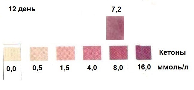 Кетоны - эталонная полоска и тест-полоска 12 дня