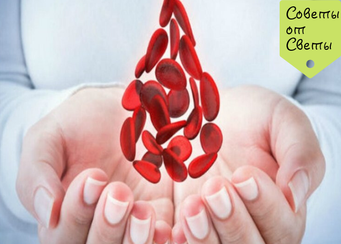 Фото из открытых источников интернета