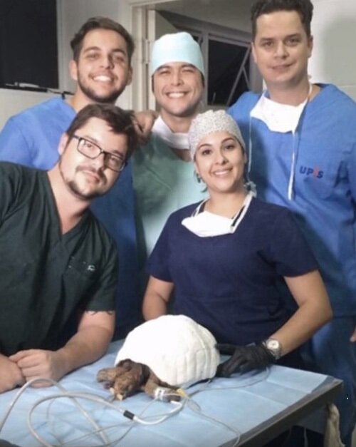 Фото предоставлено slonn.me