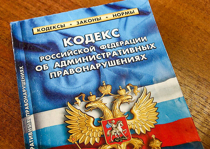 Фото из Яндекс картинки