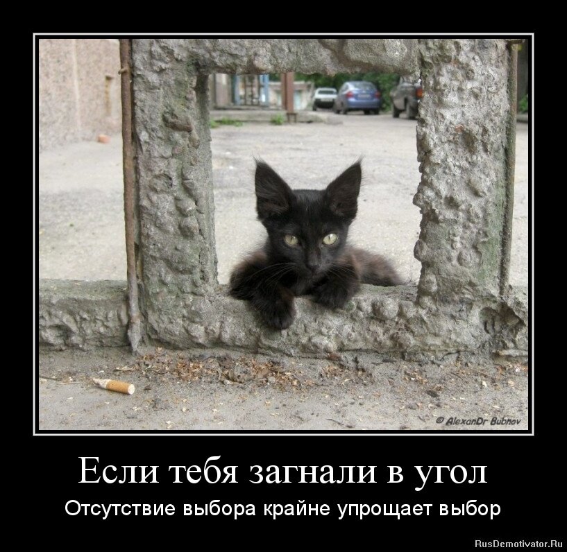 изображение с сайта с открытым доступом