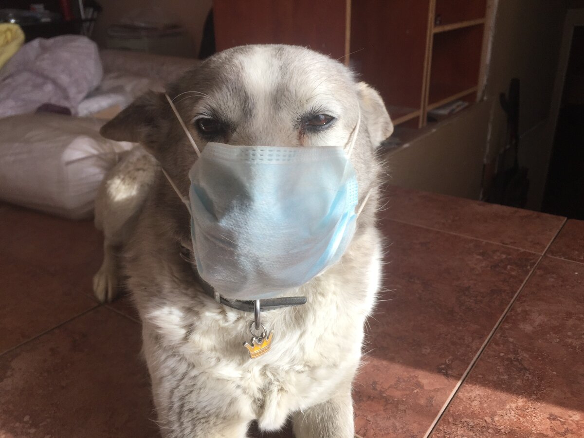 Масочный режим выполняем.