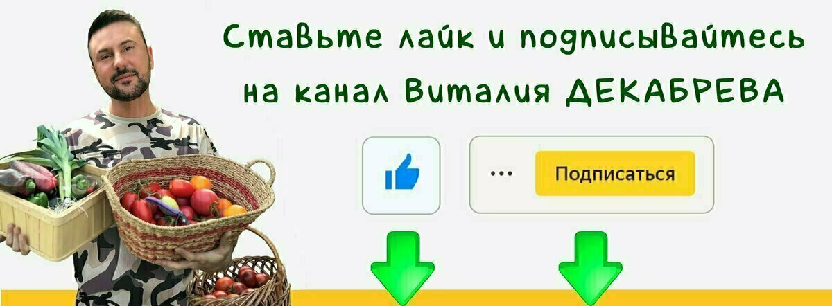 Как защитить легкие от инфекции? Простой рецепт