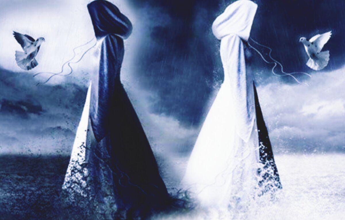 фото из интернета