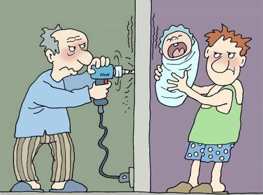 Источник Яндекс-картинки