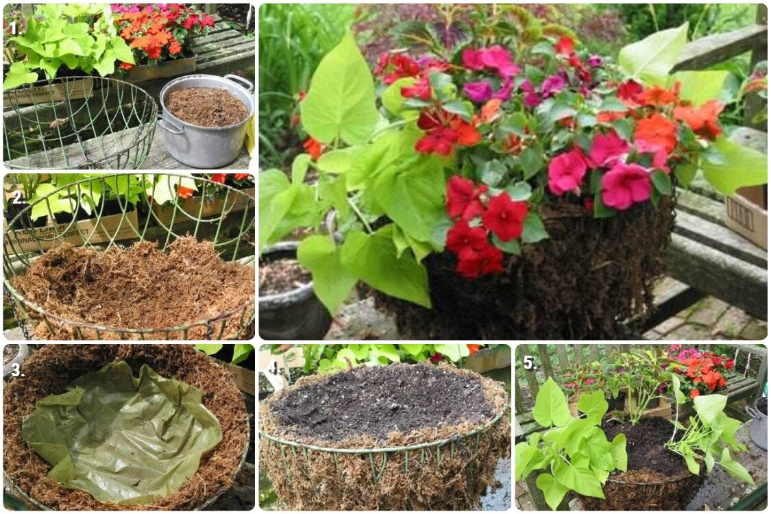 Как сделать подвесные горшки - идеи с фото - Лайфхаки для сада и огорода | Сегодня