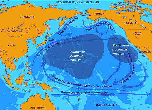 Источник: Яндекс-картинки.