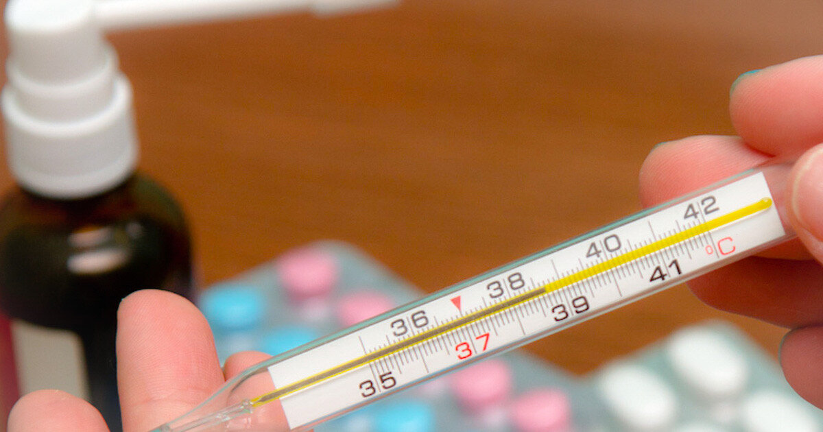 Источник: открытый доступ 