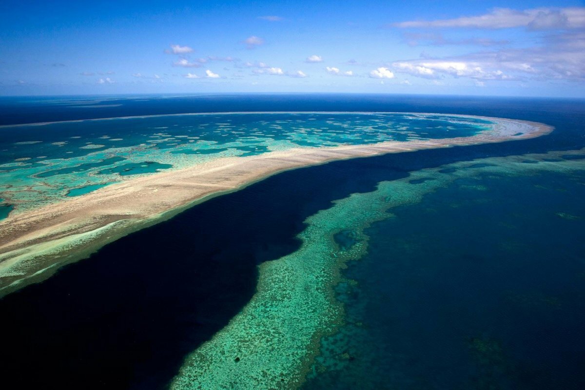 большой риф австралия