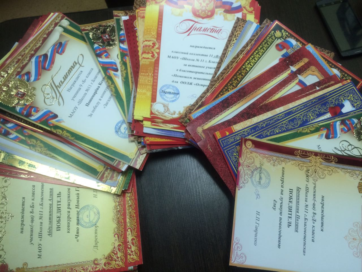 Источник: http://school11.obrblag.info