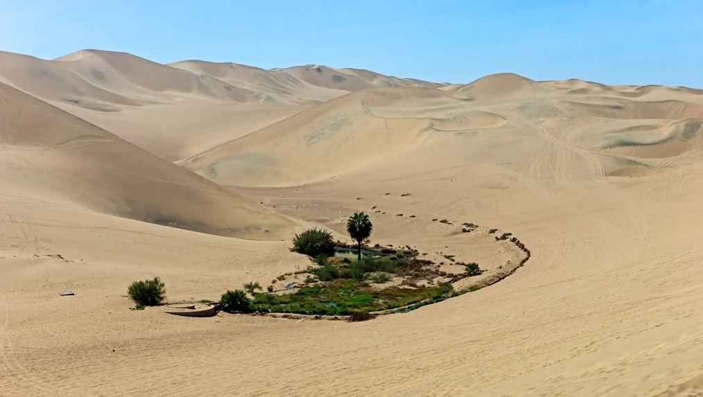 Из открытых источников