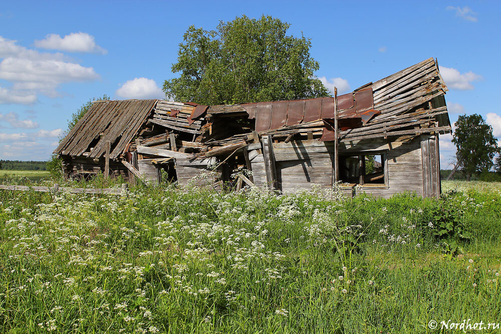 Старый дом разрушен. Полуразрушенный деревенский дом. Полуразрушенный дом в России в деревне. Разрушенный деревенский дом. Заброшенный деревянный дом.