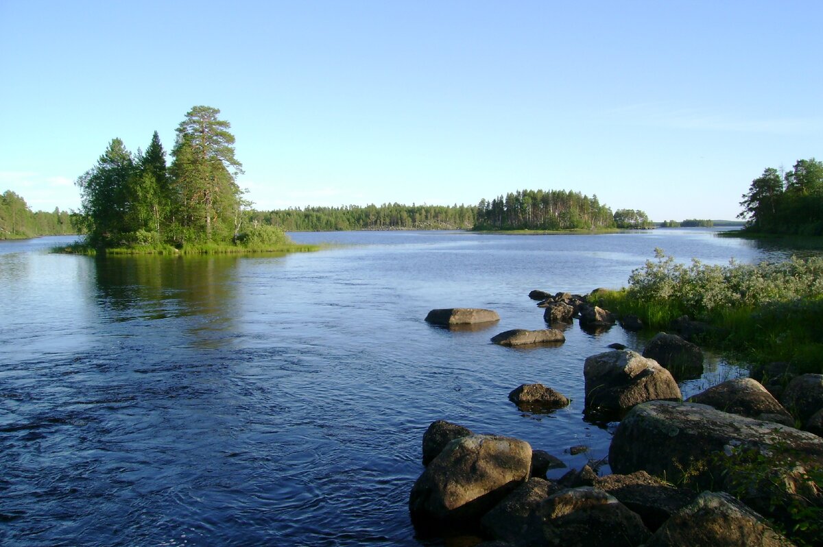 Река суна красивое место