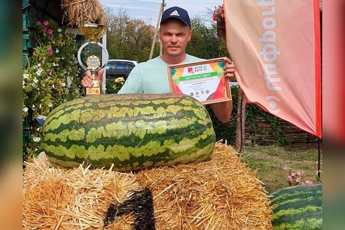 Рос фермер. Соль-Илецк Арбузная столица. Арбузная бахча соль Илецк. Бахчи соль Илецк.